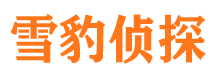 云安侦探公司